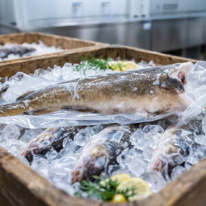 Fryst torsk – heil fisk av høg kvalitet